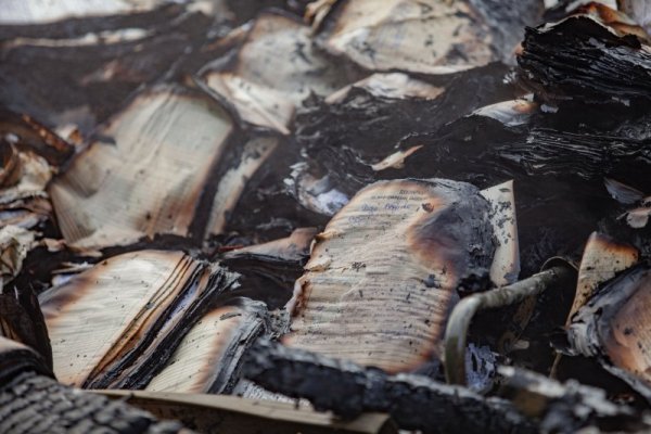 Снимка: Димитър Кьосемарлиев / Dnes.bg