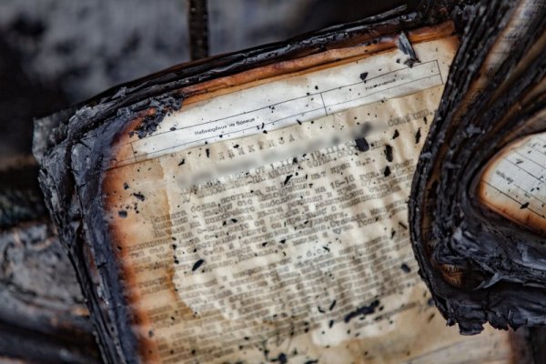 Снимка: Димитър Кьосемарлиев / Dnes.bg