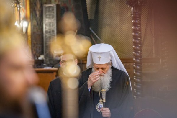 Снимка: Димитър Кьосемарлиев, Dnes.bg