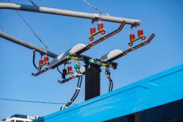 Снимка: Димитър Кьосемарлиев, dnes.bg