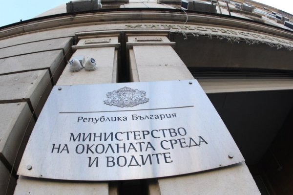 Снимка: Димитър Кьосемарлиев, Dnes.bg
&nbsp;
