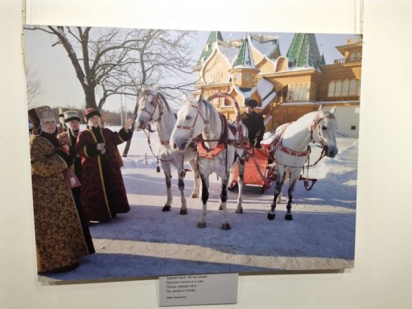 Снимка: Павел Гълъбов