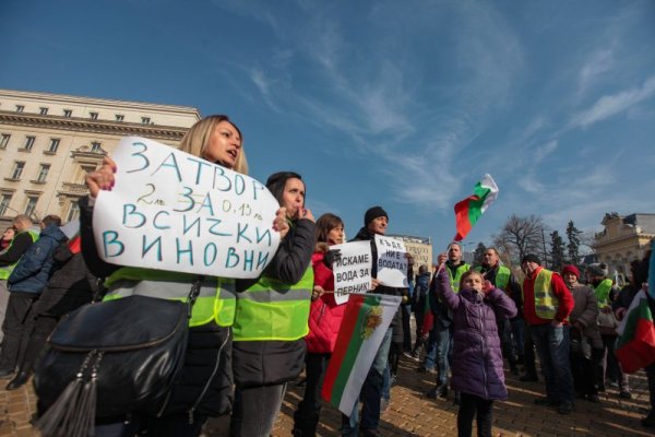 Снимка: Димитър Кьосемарлиев, Dnes.bg