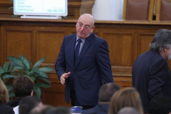 Снимка: Димитър Кьосемарлиев, Dnes.bg