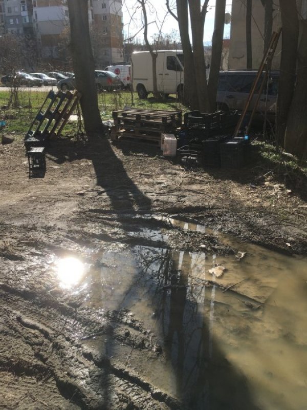 Снимка: Helpbook