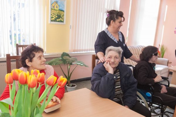 Снимка: Димитър Кьосемарлиев, Dnes.bg