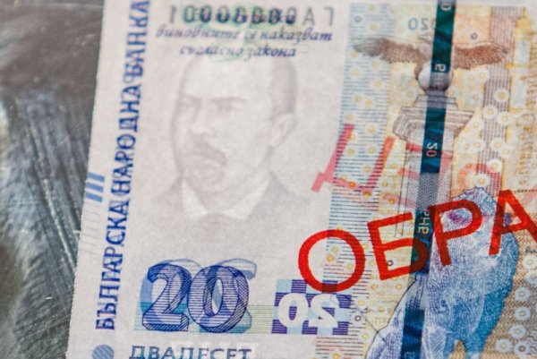 Снимка: Димитър Кьосемарлиев / Dnes.bg