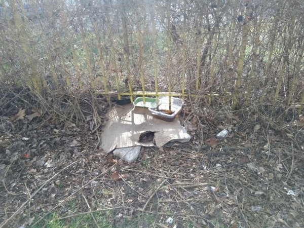 Снимка: Helpbook