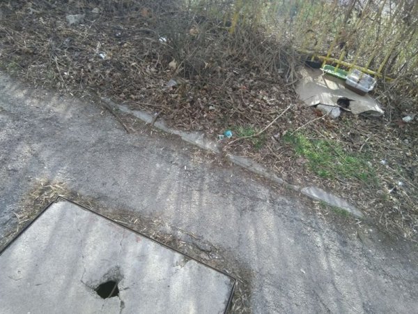 Снимка: Helpbook