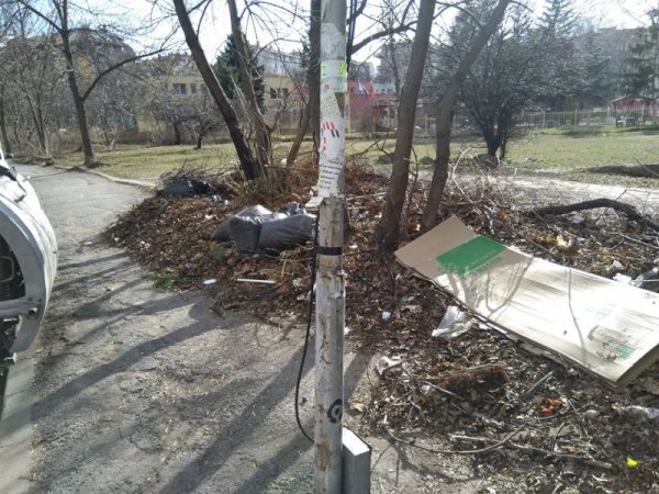 Снимка: Helpbook