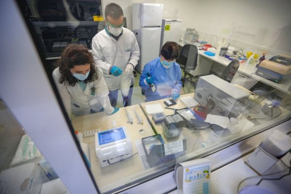 Снимка: Димитър Кьосемарлиев, Dnes.bg