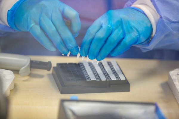 Снимка: Димитър Кьосемарлиев, Dnes.bg