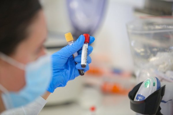 Снимка: Димитър Кьосемарлиев, Dnes.bg