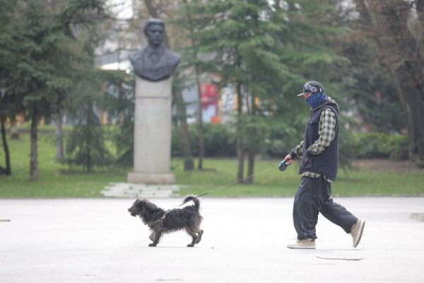 Снимка: Димитър Кьосемарлиев, Dnes.bg