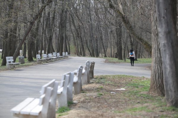 Снимка: Димитър Кьосемарлиев, Dnes.bg