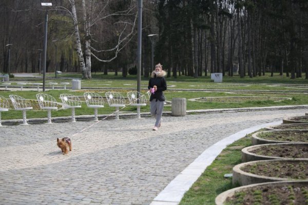 Снимка: Димитър Кьосемарлиев, Dnes.bg