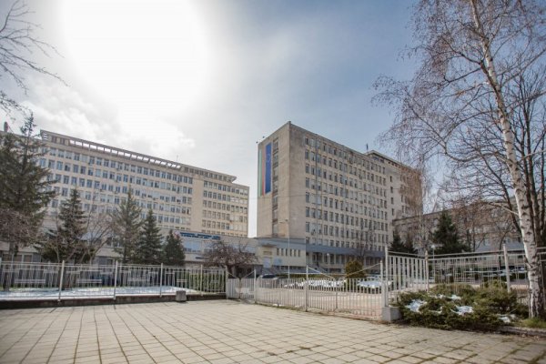 Снимка: Димитър Кьосемарлиев, Dnes.bg