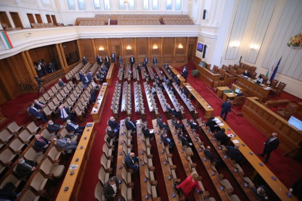 Снимка: Димитър Кьосемарлиев, Dnes.bg