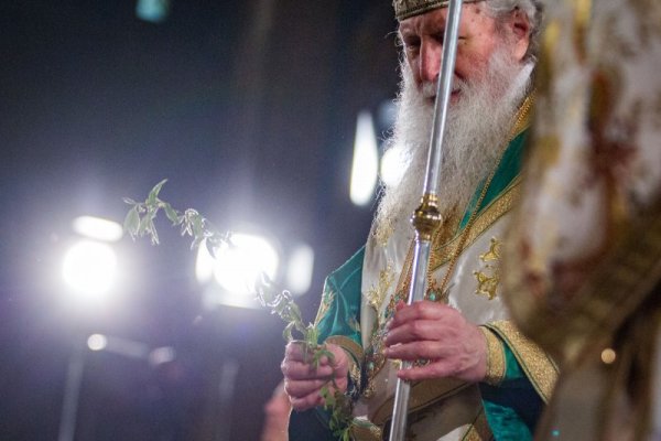 Снимка: Димитър Кьосемарлиев, Dnes.bg