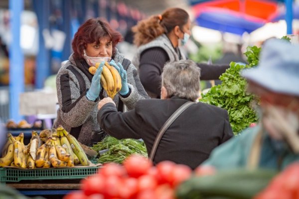 Снимка: Димитър Кьосемарлиев, Dnes.bg