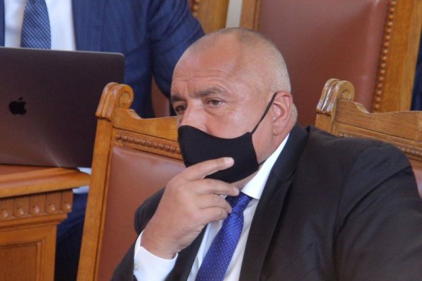 Снимка: Димитър Кьосемарлиев, Dnes.bg