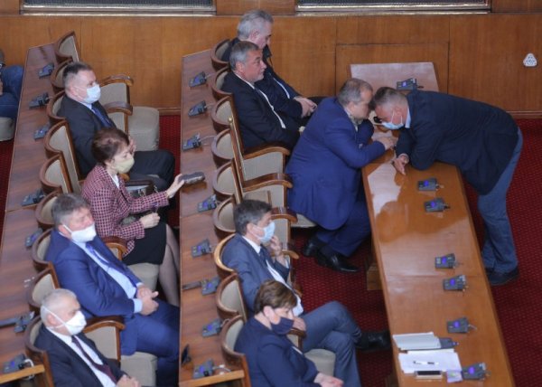 Снимка: Димитър Кьосемарлиев, Dnes.bg