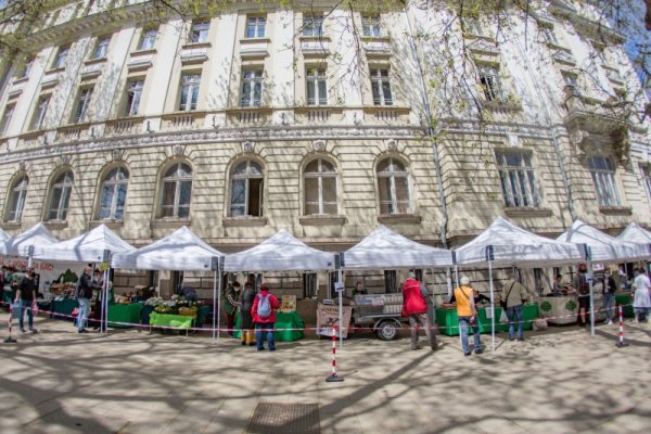Снимка: Димитър Кьосемарлиев, Dnes.bg