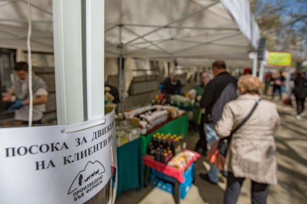 Снимка: Димитър Кьосемарлиев, Dnes.bg