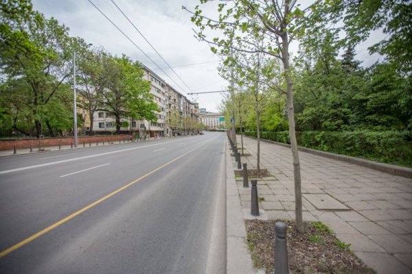 Снимка: Димитър Кьосемарлиев, Dnes.bg