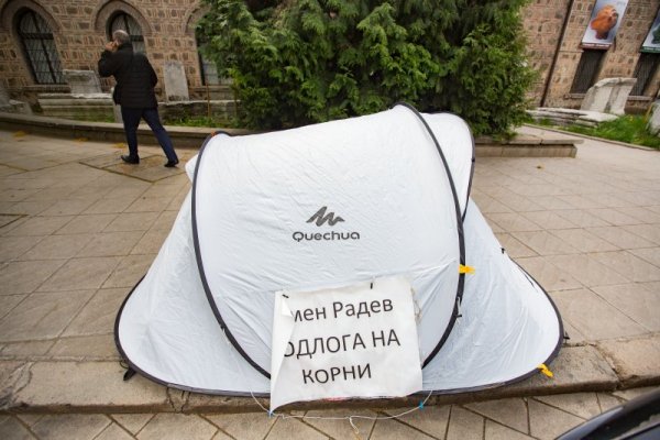 Снимка: Димитър Кьосемарлиев, Dnes.bg