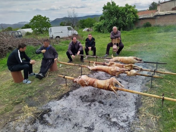 Снимка: Павел Гълъбов/Dnes.bg