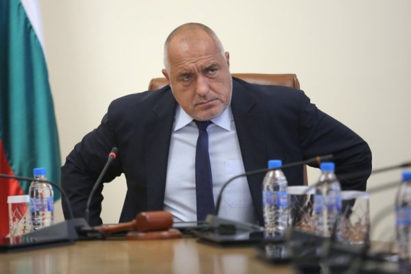 Снимка: Димитър Кьосемарлиев, Dnes.bg