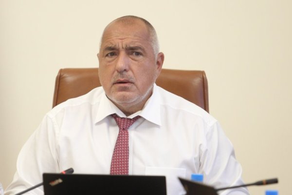 Снимка: Димитър Кьосемарлиев, Dnes.bg