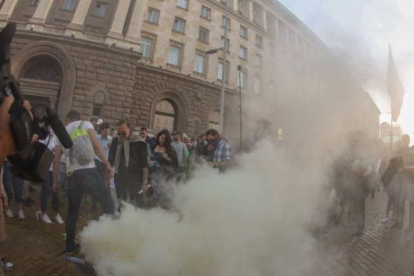 Снимка: Димитър Кьосемарлиев, Dnes.bg