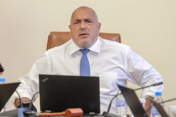 Снимка: Димитър Кьосемарлиев, Dnes.bg