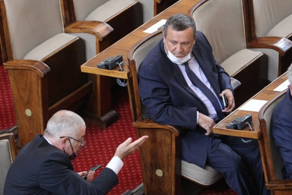Снимка: Димитър Кьосемарлиев, Dnes.bg