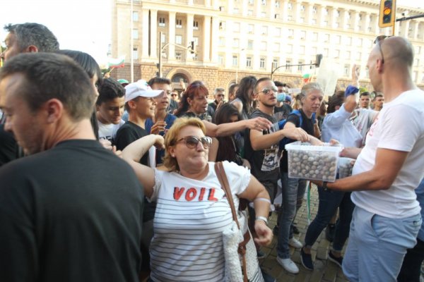 Снимка: Димитър Кьосемарлиев, Dnes.bg