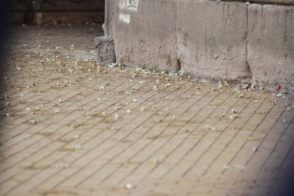 Снимка: Димитър Кьосемарлиев, Dnes.bg