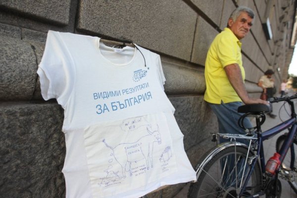 Снимка: Димитър Кьосемарлиев, Dnes.bg