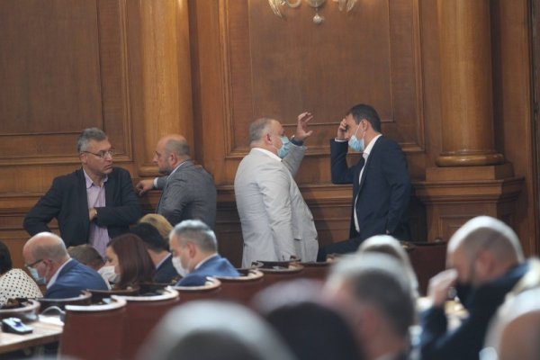 Снимка: Димитър Кьосемарлиев, Dnes.bg