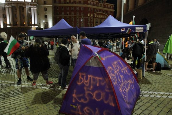 Снимка: Димитър Кьосемарлиев, Dnes.bg