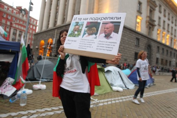 Снимка: Димитър Кьосемарлиев, Dnes.bg