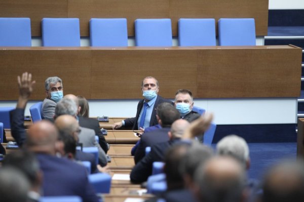 Снимка: Димитър Кьосемарлиев, Dnes.bg