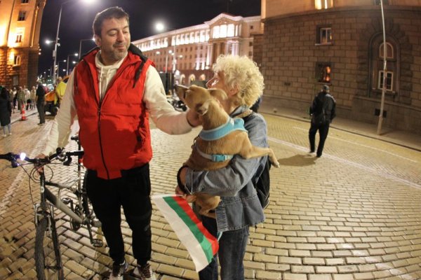 Снимка: Димитър Кьосемарлиев, Dnes.bg