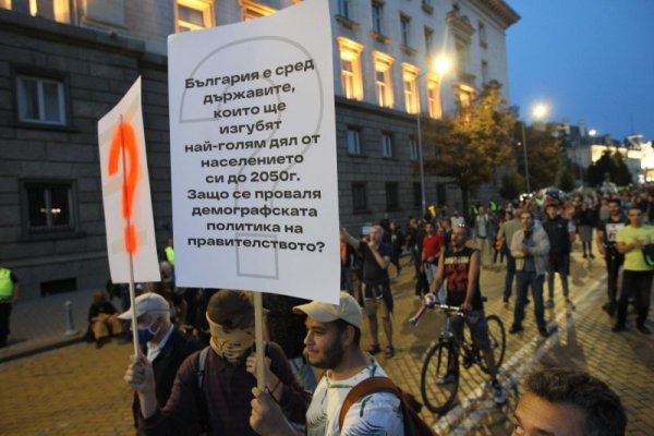 Снимка: Димитър Кьосемарлиев, Dnes.bg