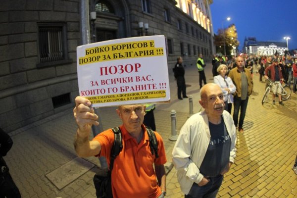 Снимка: Димитър Кьосемарлиев, Dnes.bg
