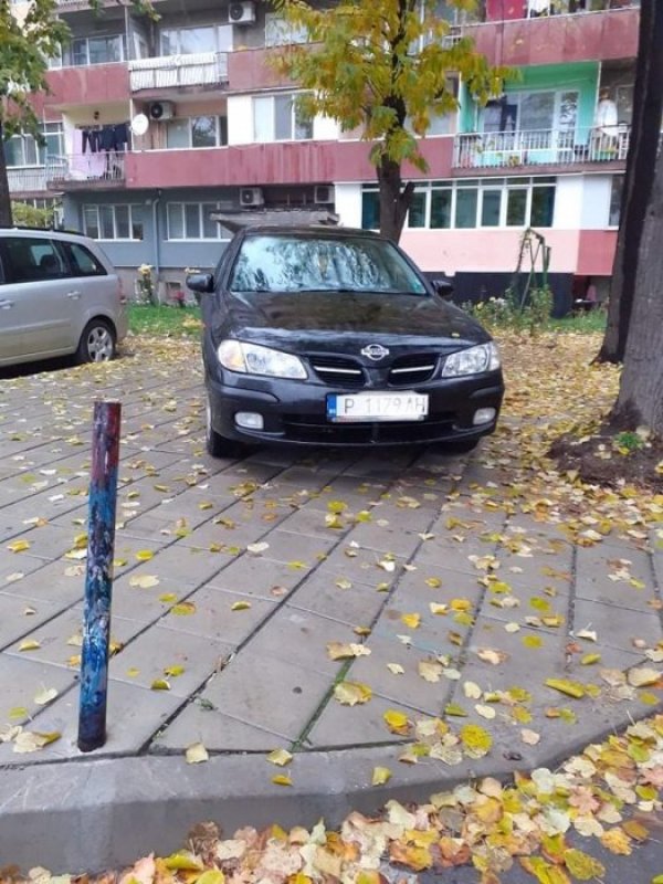 Снимка: Helpbook
