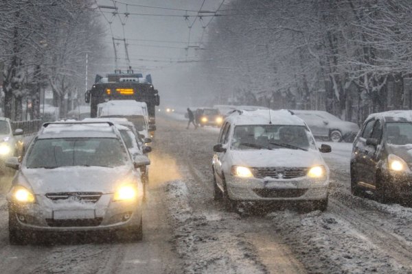 Снимка: Димитър Кьосемарлиев, Dnes.bg