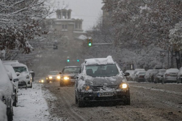 Снимка: Димитър Кьосемарлиев, Dnes.bg