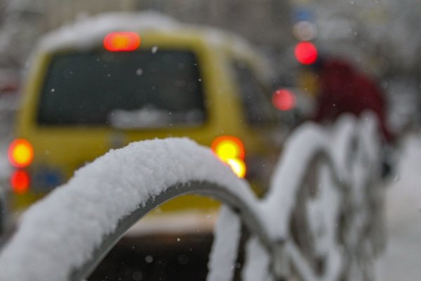 Снимка: Димитър Кьосемарлиев, Dnes.bg